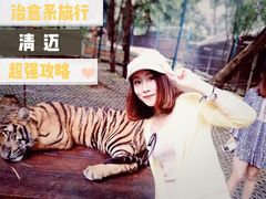 -清迈夜间动物园
