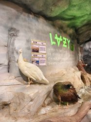 -Zoolung Zoolung动物主题公园(海信广场店)