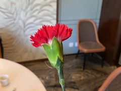 -湛江菜.江南首席(昆山店)