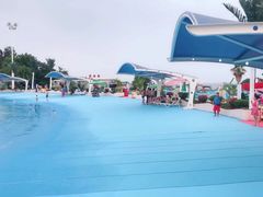 -巨鹏飞梦幻海岸