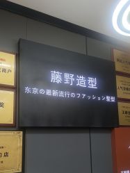 点击看大图 -藤野造型