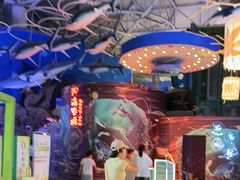 -烟台海昌鲸鲨海洋公园