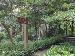 -广州市帽峰山景区