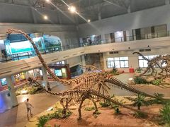 -自贡恐龙博物馆