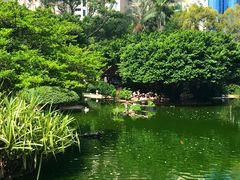 -九龙公园