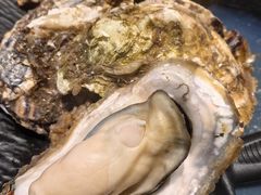 -蚝伯·新派海鲜(荣昌店)