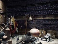 -西双版纳原始森林公园