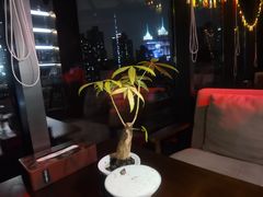 -浅深Cheersum(曹杨店)