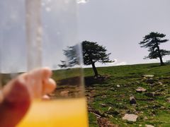 -芦芽山旅游度假区