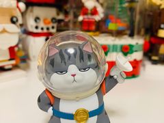 -酷乐潮玩(颛桥万达店)