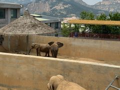 -西霞口神雕山野生动物世界
