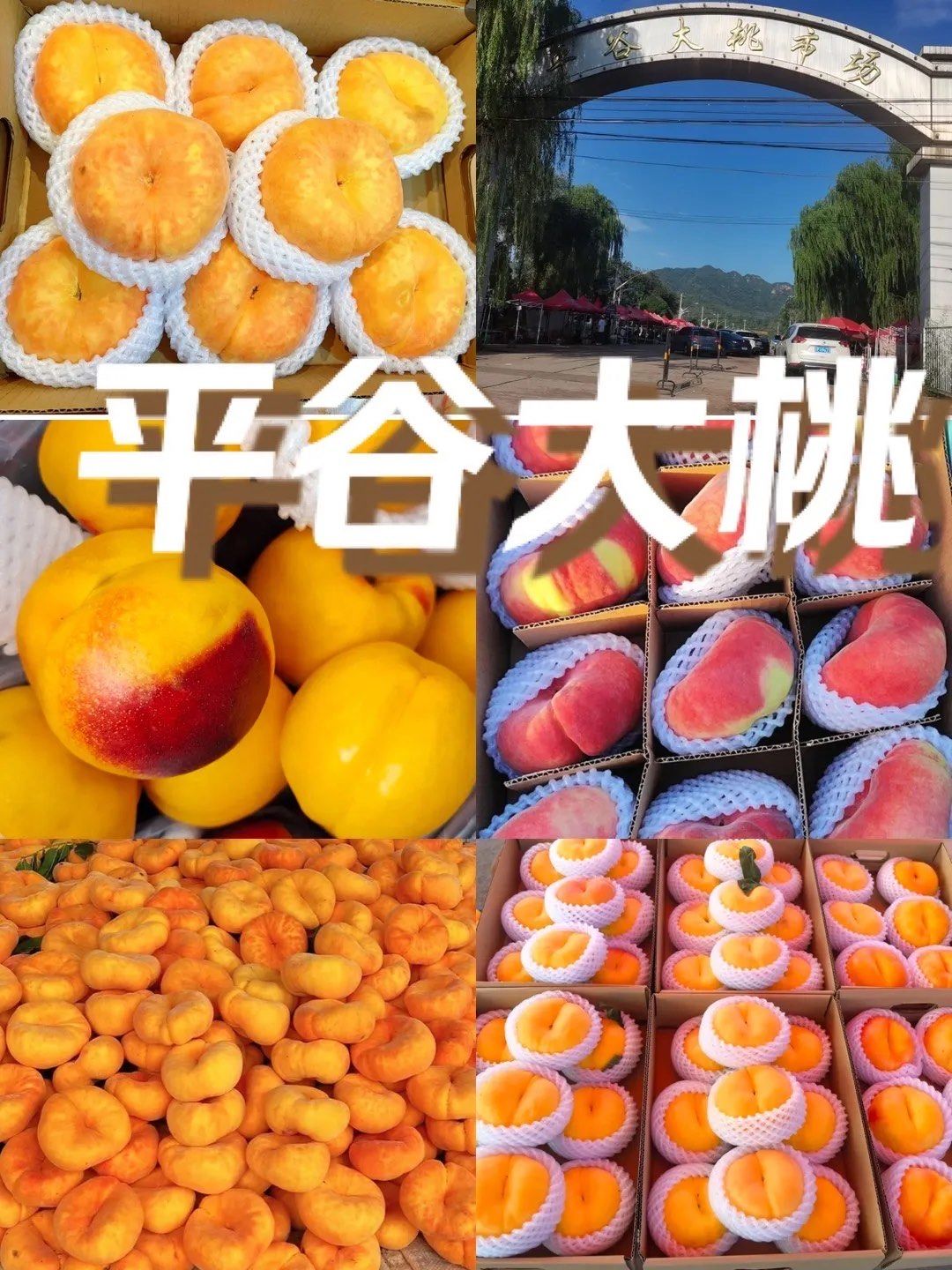 n#桃子熟了 平谷大桃,品种繁多,每一口