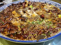 -张烤鸭·川菜·非遗冒烤鸭(青石桥店)