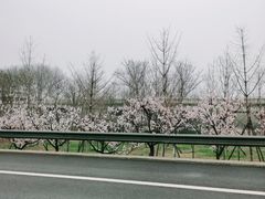 -紫光园(顺义店)