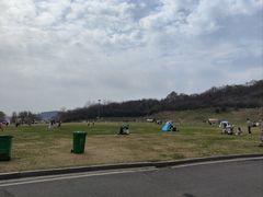 -羊山湖公园