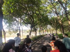 -东莞植物园