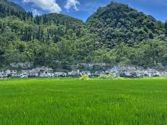 -万峰林风景区