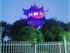 -枫林花海