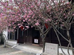 -常熟方塔园