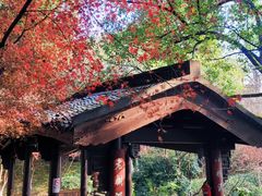 -杭州半山国家森林公园