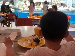 -帝企鹅自助餐厅•儿童岛•真企鹅(长隆企鹅酒店)