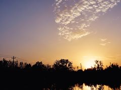 -白鹭湾湿地公园