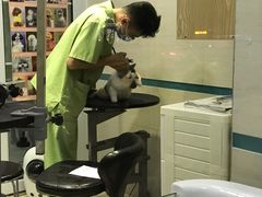 -芭比堂动物医院·24小时·眼科中心(深圳中心)