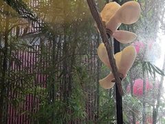 -唐猫庭院·千年陕菜(大唐不夜城店)