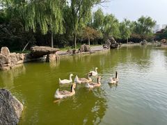 -洛阳市隋唐城遗址植物园