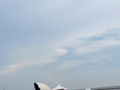 -碧海金沙