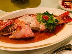 -金轩中餐厅 Jin Xuan(浦东丽思卡尔顿酒店)