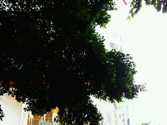 -VT101维多利广场