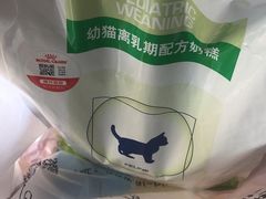 -艾贝尔宠物诊疗