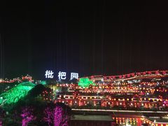 -枇杷园食为鲜火锅(南山店)