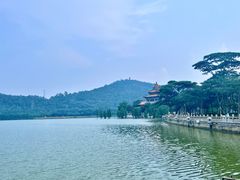 -顺峰山公园