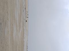 -北海金海湾红树林生态旅游区