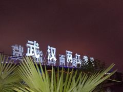 -武汉两江游览·夜游长江(汉口粤汉码头)