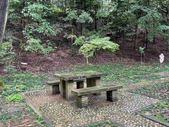 -上海佘山国家森林公园天马山园