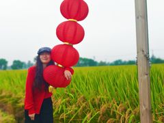 -嘉北郊野公园