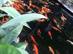 -新灿记大酒楼