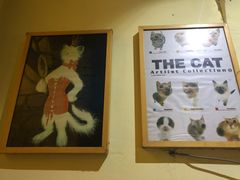 -猫色咖啡·猫咖
