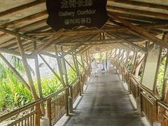 -海口观澜湖火山温泉谷