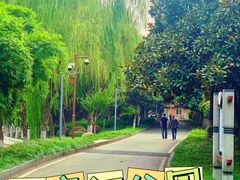 -后襄河公园