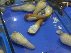 -山东八大碗山东老字号