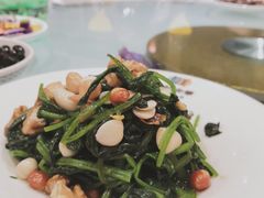 田七杏仁-豫满楼(郑东新区店)
