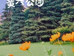 -黄兴公园