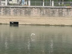 -成都市活水公园