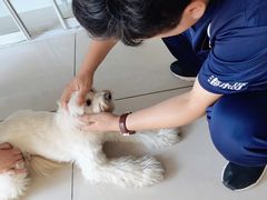 -子乐宠物医院