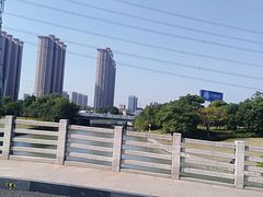 -九里河湿地公园