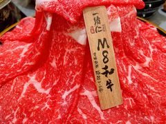 -一绪に寿喜烧(荟聚店)